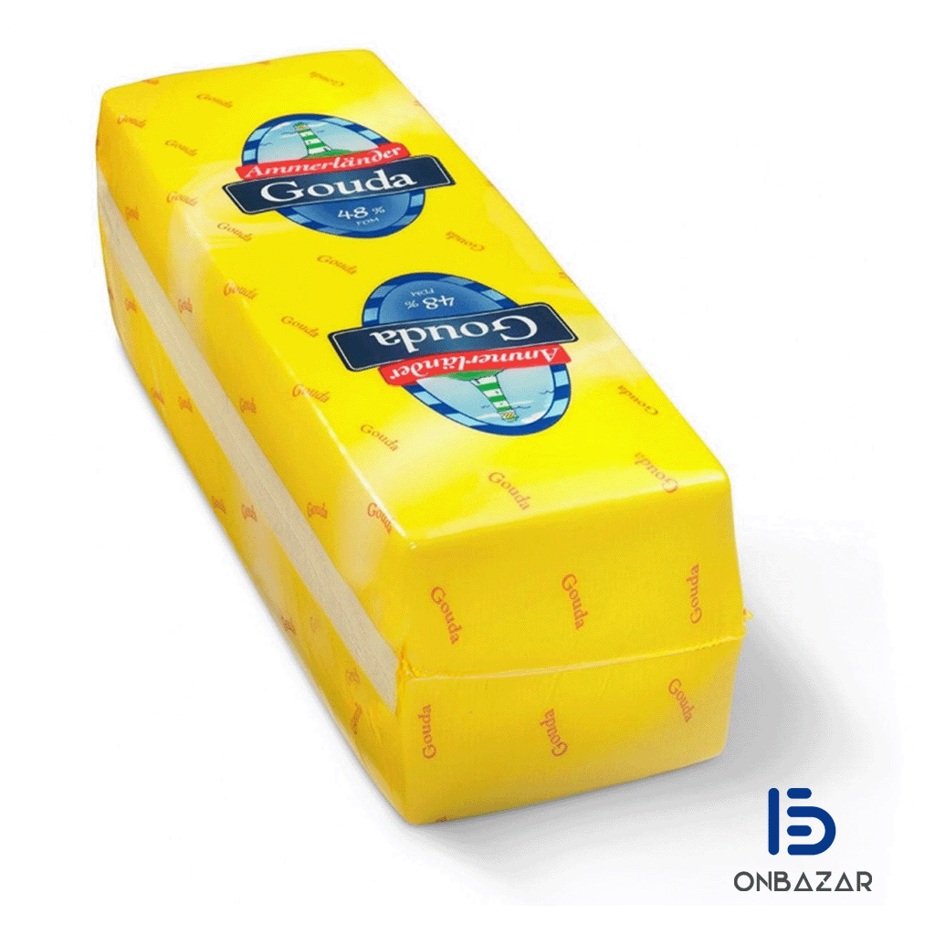 Queso Gouda (3.1kg)